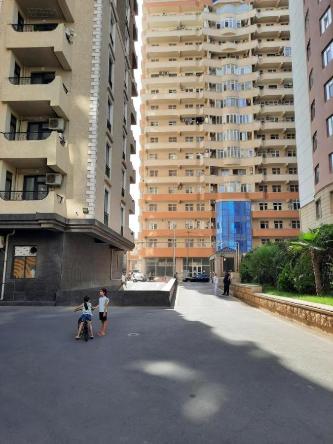 Design Apartment Baku